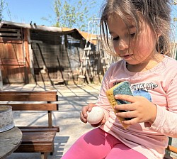 🌈 Cosa faremo: 	•	Andremo insieme a cercare le uova nel pollaio 	•	Impareremo tante curiosità sulle galline 	•	Raccoglierai le uova con le tue mani!  👧🧒 Un’attività semplice, educativa e super divertente, perfetta per stare all’aria aperta!🐓